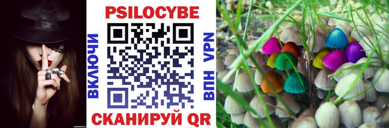 цена наркотик Болхов Псилоцибиновые грибы мухоморы